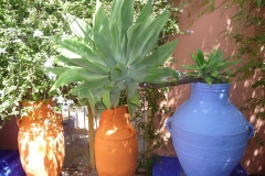 Maroc, Marrakech, jardin Majorelle