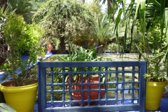 Maroc, Marrakech, jardin Majorelle