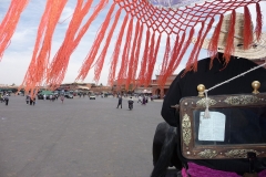 Maroc, Marrakech, calèche, promenade