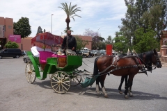 Maroc, Marrakech, calèche, promenade