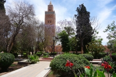 Maroc, Marrakech, Koutoubia