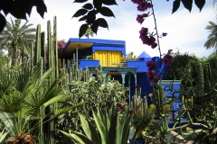 Maroc, Marrakech, jardin Majorelle