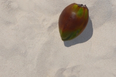 Mexique, Playa Del Carmen, la plage