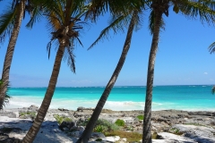 Mexique, Tulum, la plage, paradisio beach