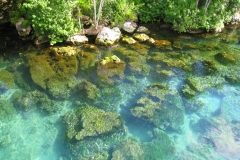 Mexique, Riviera maya, parc Xel-Ha, rivière bleue