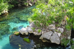 Mexique, Riviera maya, parc Xel-Ha, rivière bleue