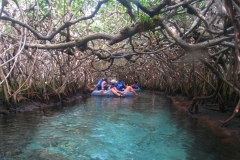 Mexique, Riviera maya, parc Xel-Ha, rivière bleue