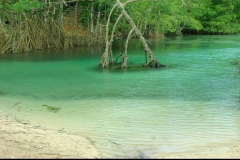 Plage, Playa Rincon, République Dominicaine, Caraïbes