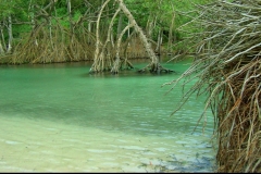 Plage, Playa Rincon, République Dominicaine, Caraïbes