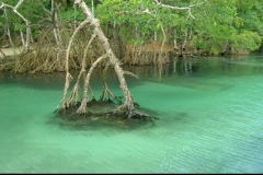 Plage, Playa Rincon, République Dominicaine, Caraïbes