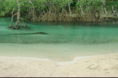 Plage, Playa Rincon, République Dominicaine, Caraïbes