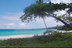 Plage, Playa Rincon, République Dominicaine, Caraïbes