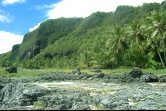 jungle, République Dominicaine, Caraïbes