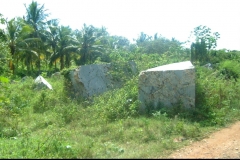 jungle, marbre, République Dominicaine, Caraïbes