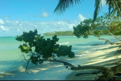 plage, Playa Grande Las Galeras, République Dominicaine, Caraïbes