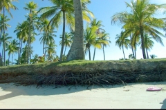 plage, Las Galeras, République Dominicaine, Caraïbes