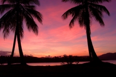 coucher de soleil, palmier, Las Galeras, République Dominicaine, Caraïbes