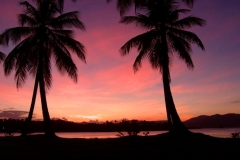 coucher de soleil, palmier, Las Galeras, République Dominicaine, Caraïbes