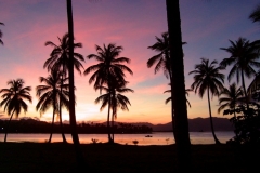 coucher de soleil, palmier, Las Galeras, République Dominicaine, Caraïbes