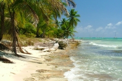 plage, Isla Saona, République Dominicaine, Caraïbes