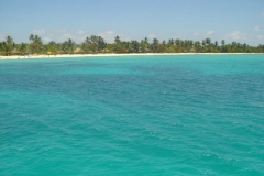 plage, Isla Saona, République Dominicaine, Caraïbes
