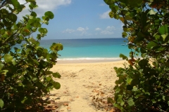 Ile de Tintamare, Saint Martin