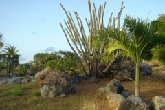 Orient Beach, Saint Martin