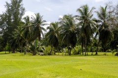 Ile des Seychelles