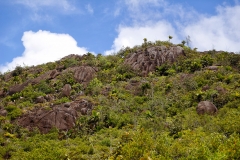 Ile des Seychelles