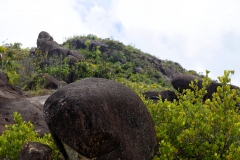 Ile des Seychelles