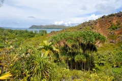 Ile des Seychelles