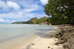 Ile des Seychelles