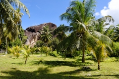 Ile des Seychelles