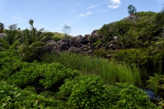 Ile des Seychelles