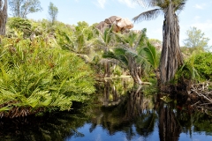 Ile des Seychelles