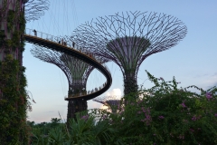 Singapour, Jardins de la Baie, Gardens by the Bay