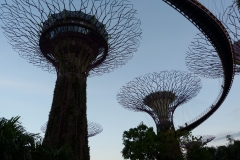 Singapour, Jardins de la Baie, Gardens by the Bay