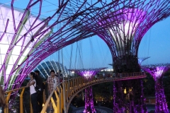 Singapour, Jardins de la Baie, Gardens by the Bay