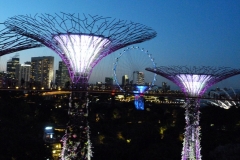 Singapour, Jardins de la Baie, Gardens by the Bay