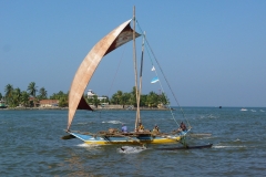 Sri Lanka, Pêcheurs et poissons