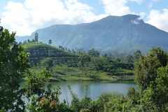 Sri Lanka montagne