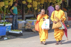 Sri Lanka moines