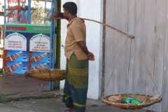 Sri Lanka porteur à balanciers