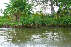 Thaïlande, Bangkok, bateau sur les klongs du fleuve Chao Phraya