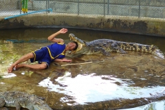 Thaïlande, île Koh Samui, Ferme aux crocodiles