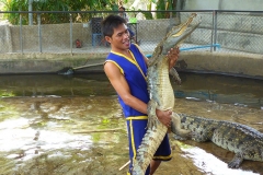 Thaïlande, île Koh Samui, Ferme aux crocodiles