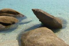 Thaïlande, île Koh Samui, Crystal Bay,