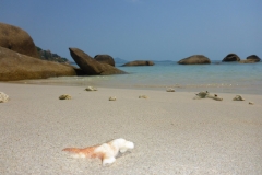 Thaïlande, île Koh Samui, Crystal Bay,