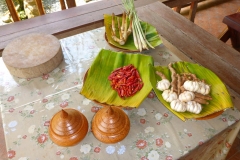 Thaïlande, île Koh Samui, gingembre, citronnelle, ail