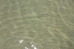 Thaïlande, île Koh Samui, Chong Mon plage, eau transparente et chaude